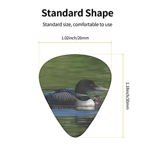 Pack de 12 médiators Loon Nature Bird médiators pour guitare électrique guitare acoustique diverses guitares - Les Beatles, Paul McCartney, John Lennon, RIngo Starr, George Harrison Pack de 12 médiators Loon Nature Bird médiators pour guitare électrique guitare acoustique diverses guitares – Image 4