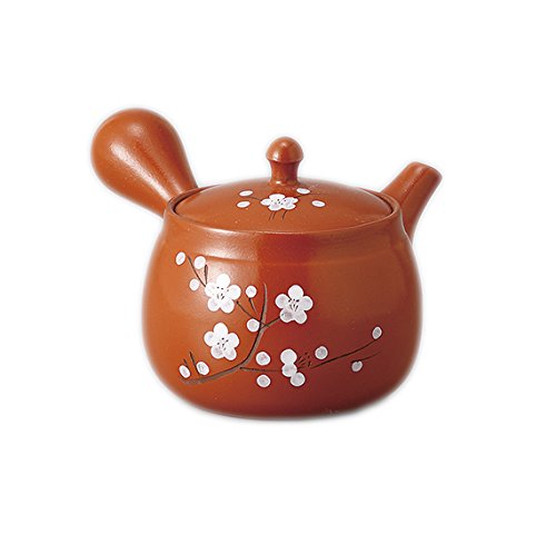 中国 龍泉急須 中国 龍泉急須 Amazon | Jiswhisker 鉄急須、鉄瓶、中国風、伝統