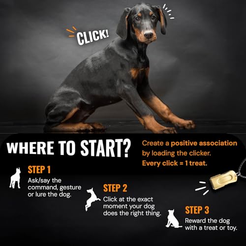 Devault Gear Clicker Gold Dog com colar - Clickers for Pet Training - Dog Training & Behavior Aids F