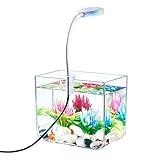 | Design antidérapant : Équipé d'un anti-dérapant, ce petit aquarium un soutien stable sur plusieurs types de surfaces. Il minimise les risques de déplacement et assure une stabilité constante, que ce soit dans la cuisine, la chambre ou le bureau.