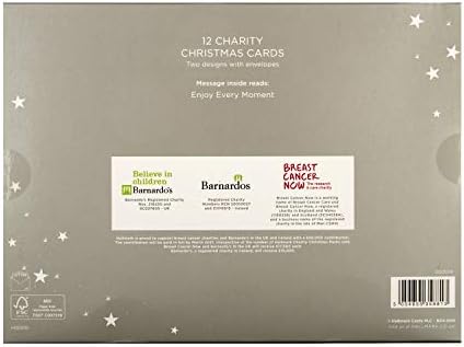 Hallmark Charity Christmas Cards - 12 Cards in 2 Contemporary Starry Skies Designs