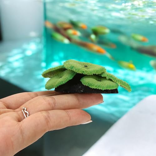 Image of BuleVina Green Coral Fake Artificial Decor Plant 3''x1'' - Premium Quality Multicolor Reef Resin Sculpture Aquarium Decorations for Fish Tank Landscape Ornament