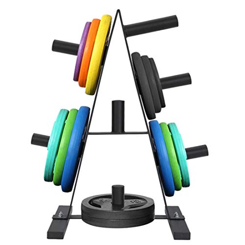 AT-X 2 inch Weight Plate Tree, Weight Plate Rack for Bumper Plates Free Weight Stand, Maximum Load 400 LB [US Stock]
