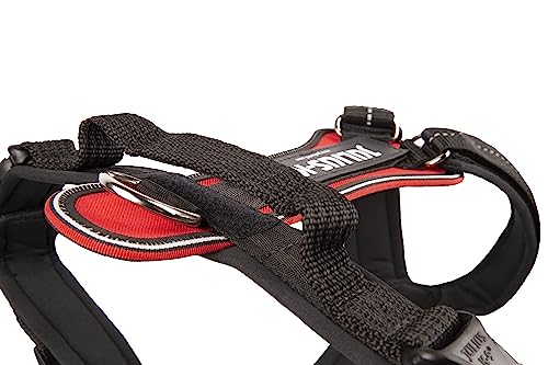 Julius-K9 JK9 Sport Hundegeschirr, Größe: XL, Rot