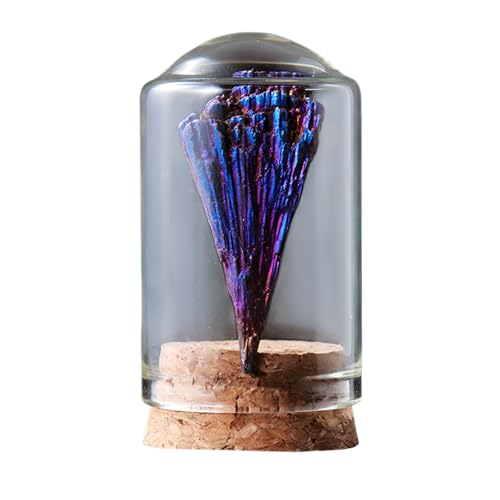 [prosekor]7/25VRzΕW{Zbg ΂ ΕW{yےnwcF IGC {̒nW{zKXr+ؐX^h W{Lbg ۂݏ qǂTCGXLbg NX}X v[g bN~l RNV 