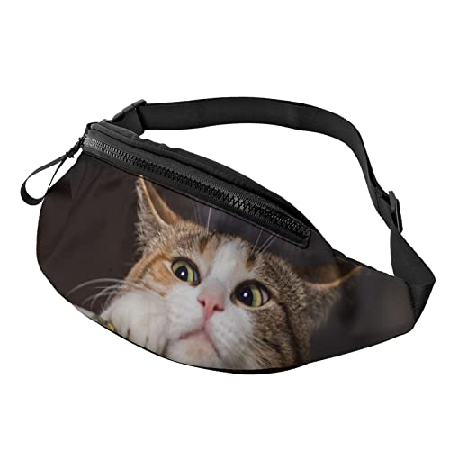 OUCSSDLTD Bauchtasche mit Katzenmotiv, für Herren und Damen Cover
