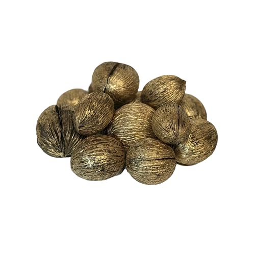 14 Piece Natural Mintola Ball Seed Pod Bowl Filler – Organic Oval-Shaped Nut Shells for Decorative Centerpieces & Home Decor – Dark Brown Color with Textured Finish (Gold Brush on Natural Brown)