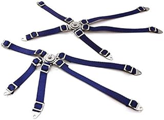 Integy RC Model OBM-038BLUE Realistic Seatbelt 5 Point Racing Harness for Axial 1/10 Wraith 2.2, RR10 Bomber
