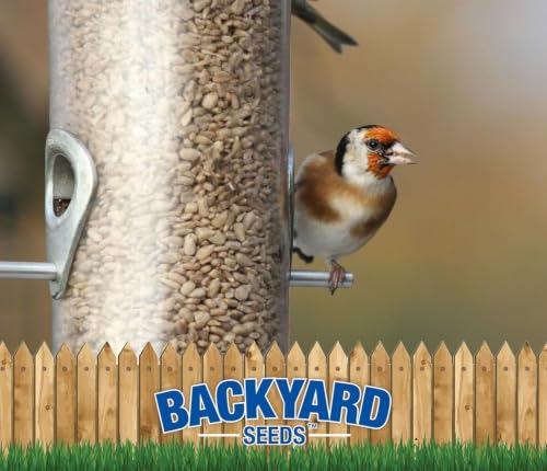 Image of CountryMax Wild Bird Seed Variety Pack 50lb, 5 Premium Seeds, 10lb Each | Includes five 10 lb bags of Safflower, Black oil sunflower, Sunflower chips, Sunflower hearts, and Millet with no fillers