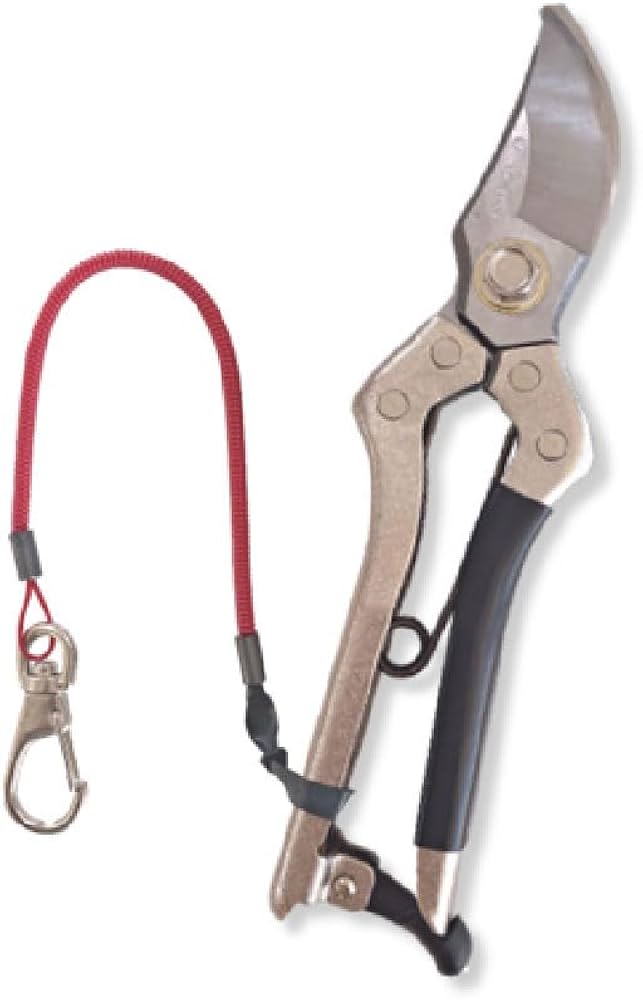 Amazon | Acro厳選92A8027越乃興三3151剪定鋏B型200-SCL-R | 園芸用はさみ