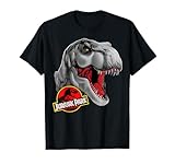 17JPRK00105A-002 Jurassic Park T-Rex Circle Art Fill T-Shirt