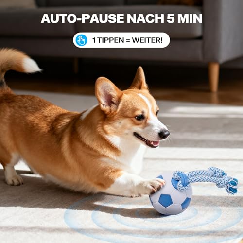 Pet Prime Intelligentes Hundespielzeug Fussball – Mit LED-Leine, 3 Spielmodi, USB-Aufladbar & Automatischem Energiesparmodus