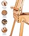 DJAR French Easel with Shoulder Strap, Adjustable Beech Wood Art Easel with Drawer, Palette, Level Instrument & Scale Leg, Studio Tabletop Floor Easel for Artists, Hold Canvas up to 34
