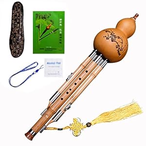 Hulusi Pompoen Fluit C Sleutel, Cucurbit Fluit Verwijderbaar Met Lederen Case, Mini Harmonica, Gift Etnische…