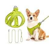 【Respirant et Confortable, les Animaux l'Adorent】Fabriqué en maillage doux, ce harnais est léger et respirant pour une meilleure circulation de l'air, gardant votre chat ou petit chien au frais et à l'aise en extérieur. Son design ergonomique épouse la forme de votre animal sans frottement ni contrainte—ainsi, votre compagnon à fourrure reste détendu et heureux de le porter.
