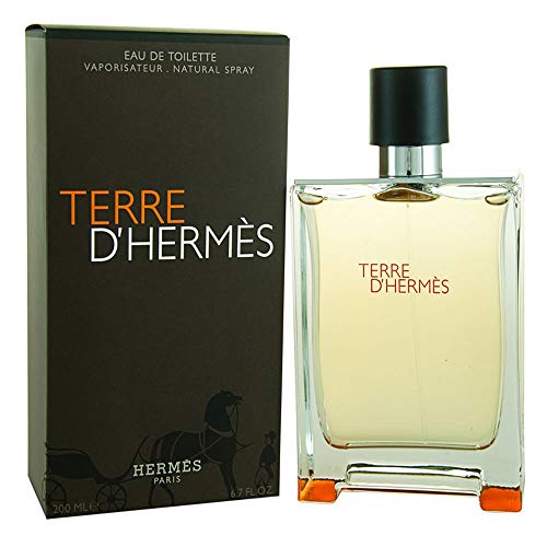 Terre D'Hermés Eau De Toilette Masculino 100 ml