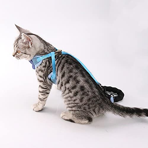 Arnés transpirable para gatos con lazo y diseño ergonómico antitirones 5