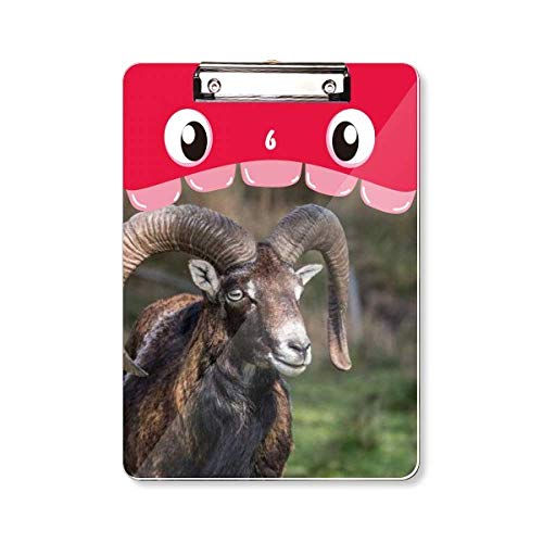 Porte-bloc avec support A4 ergonomique et stable Sheep Forestry Science