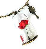Blingsoul Beauty Beest Red Necklaces For Women - Belly Pendant Pressed Flower Rose Necklace For Wome