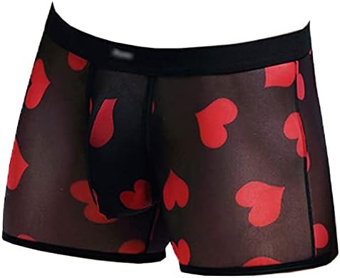 Evankin Men's Sexy Mesh Boxer Briefs Hot Lip Transparent Lingerie Red Heart Print Mesh Transparent Bulge Pouch Underpants(43BlackH,L)