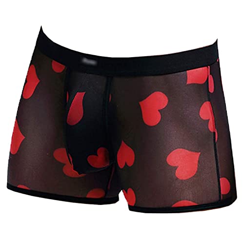 Evankin Men's Sexy Mesh Boxer Briefs Hot Lip Transparent Lingerie Red Heart Print Mesh Transparent Bulge Pouch Underpants(43Blackh,L) #TOP3