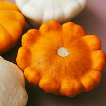 TomorrowSeeds - Orange Patty Pan Bush Scallop Squash Seeds - 30+ Count - for 2026 Planting Heirloom Bush Scallop Summer Squash Flower Patisson Scallopini Vegetable Grow Your Own Home Farm Patio