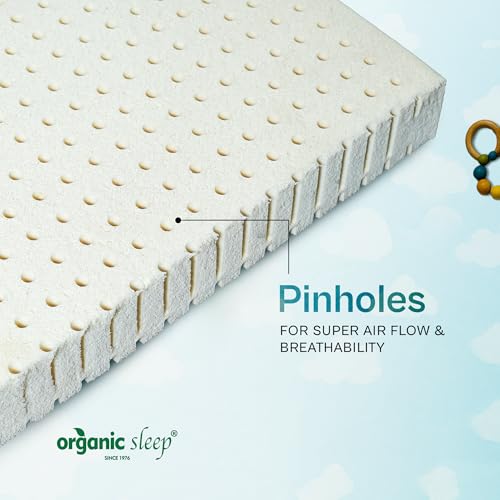 Image of 100% Natural Latex Baby Mattress 48 inchx24 inchx2 inch | Lightweight Crib & Cot Mattress for Kids | Breathable, Hypoallergenic & Supportive Baby Bed with Soft Aloe Vera Knitted Cover