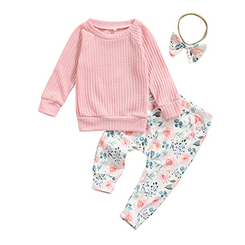 Image of Mandizy Baby Girl Clothes Set Fall 3 6 9 12 18 24 Months Long Sleeve Sweatshirt & Floral Print Pants & Headband Outfits