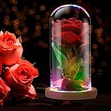 Rose in A Glass Dome Beauty and The Beast Rose Enchanted Red Silk Rose LED Light Romantic Gift Movie Theme Party Mother's Day Valentine's Day Wedding Decoration