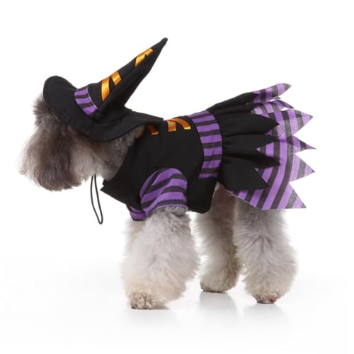 Disfraz de bruja Halloween para perros Totority L miniatura 5