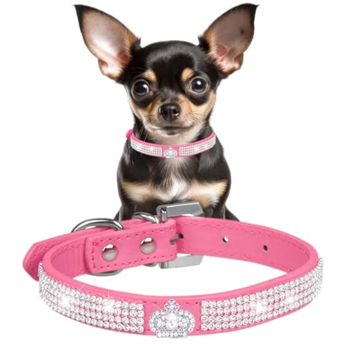 zbgsN LL hbOJ[ XSAt@V[ _Ch CXg[ qL  LL NX^  ̎q q  XXS XS p   i  ybg  L XS