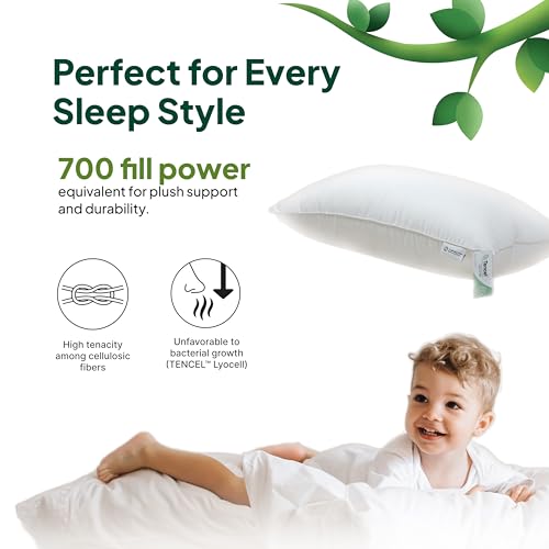 Image of Organic Cooling Tencel Lyocell Toddler Pillow & Pillowcase Set (13x18) for Hot Sleepers, Non-Toxic, Hypoallergenic, Skin Friendly, Eucalyptus Fiber, Moisture-Wicking Down Alternative Pillow