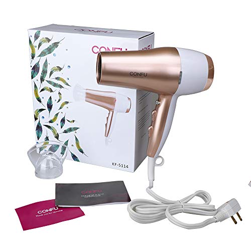 Professional Ionic Salon Hair Dryer, Powerful 1875W Low Noise Fast Drying Blow Dryer, Ceramic Tourmaline Lightweight Hairdryer with Concentrator Nozzle & Cool Button,2 Speed and 3 Heat Setting
