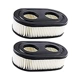 Für die meisten Briggs-Stratton-Motoren der Serie 550e-550ex 09P000 mit Papierfiltern