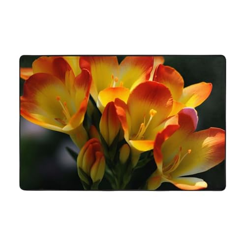 Tapis de sol absorbant et antidérapant lavable pour chambre - 4