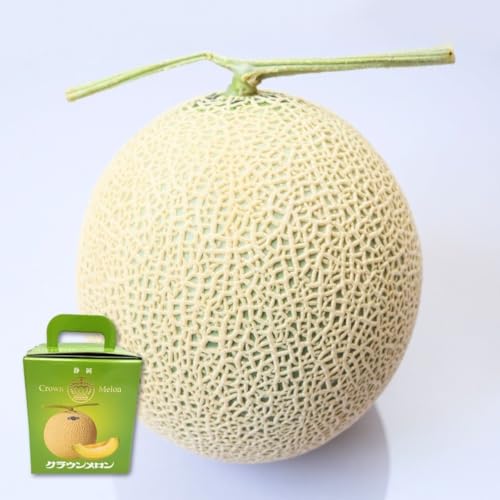 [݂̂₳]  ÉNE 1ʁi1.1kgOjϔ Mtg  ÉY 炤߂