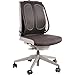 Fellowes, FEL9191301, Office Suites Mesh Back Support, 1 Each, Black