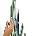 RoomMates RMK3860GM Cactus Peel and Stick Giant Wall Decals