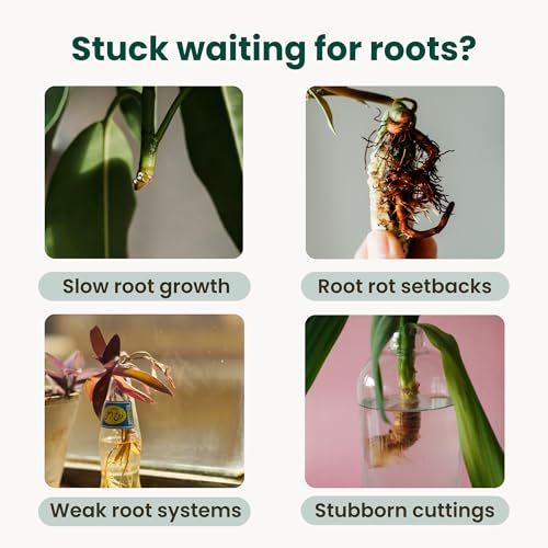 Image of Propogation Drops by The Green Alcove | Rooting Hormone for Cuttings in Water and Soil, Includes 2 Types of Hormones and Added Vitamins for Root Growth (4 fl oz)