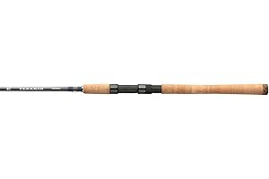 Shimano Teramar Spinning Rod