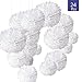 Produktbild O-Kinee 24pcs Decoration Hochzeits Weiß, Pompons Papier De Soie Pour Décoration de Mariage Fête Baptème Baby Shower