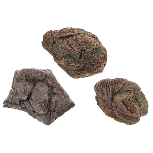 FONDOTIN 3 ?^Γ͌^ Α 踖~͘R i ?Op ی 