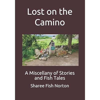 Lost on the Camino