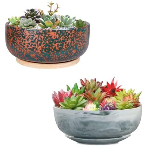 G EPGardening 8 Inch Ceramic Succulent Planter Pots Round Shallow Bonsai Planter Pot for Indoor Plants with Drainage and Plant Saucer Cover