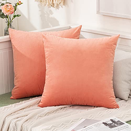 MIULEE Pack of 2, Velvet Soft Solid Decorative Square Throw ...