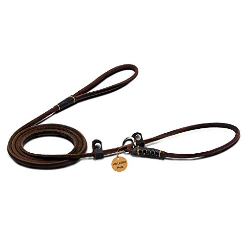 Wellbro Real Leather Slip Dog Leash, Super Thin And Adjustable Slip Lead, Soft And Slim, Suit For Puppies Small Dogs, 160Cm Long By 0.6Cm Wide, Brown #TOP1