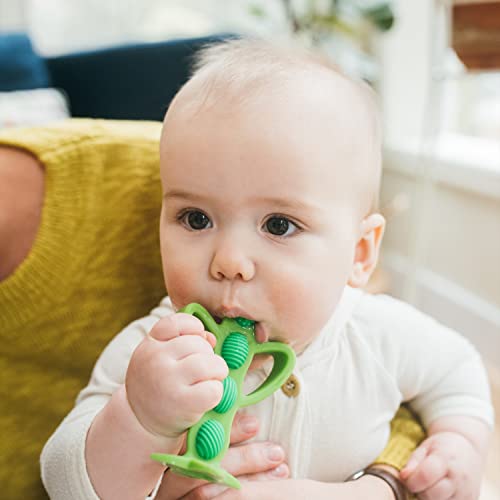 Dr. Brown'S TE224-P2 Peapod Teether + Training Toothbrush, Help Soothe Baby'S Sore Gums thumb #4
