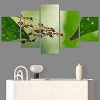 SIGNWIN 5 Panel Canvas Wall Art Modern Art Ants Butterfly Colorful Insects Minimalist Multicolor Photography for Home Decorations Ready to Hang - 60