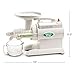 Tribest Greenstar GS-1000 Original Slow Masticating Juicer, Twin Gear Cold Press Juicer & Juice Extractor, White