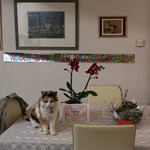 Avsnitt 16: Suezkanalen, Messina, Neapel, Rom, avsked och hemresan